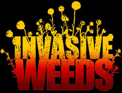 Colorful illustration of the words "Invasive Weeds" with stylized floral elements.